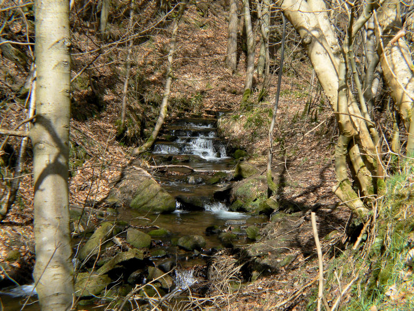 Beeley Brook Beeley Brook